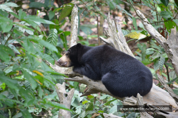 photo 1472594