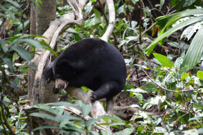 photo 1472595