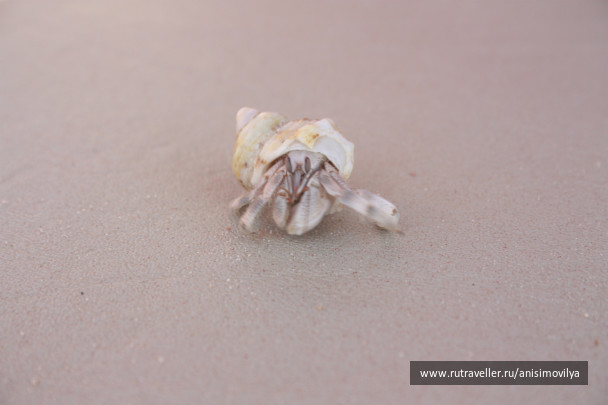 photo 214939
