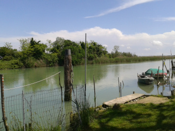 photo 483991