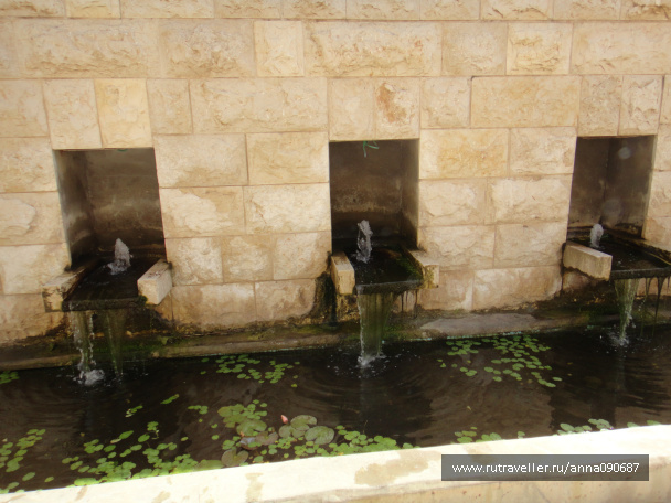photo 469095