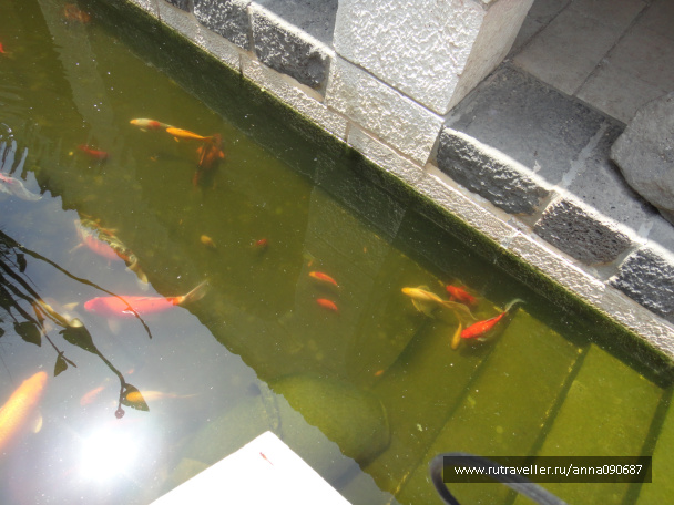 photo 469098