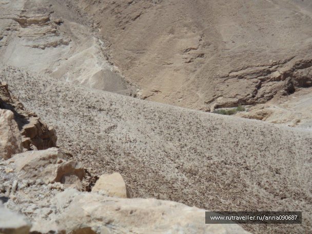 photo 469108