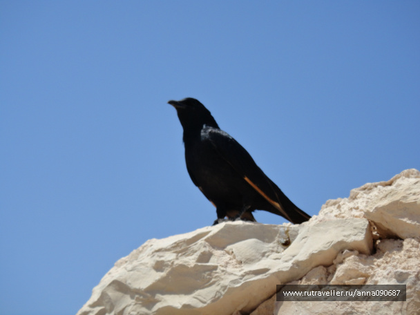 photo 469114