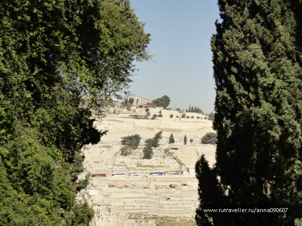 photo 469131