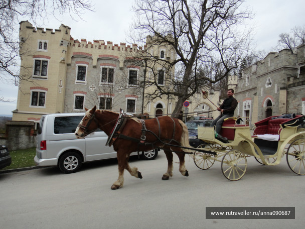 photo 470014