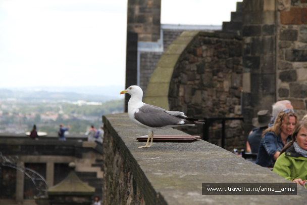 photo 444017