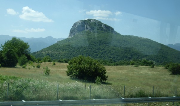 IMGP3816