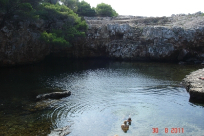 photo 972337