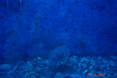 photo 972665