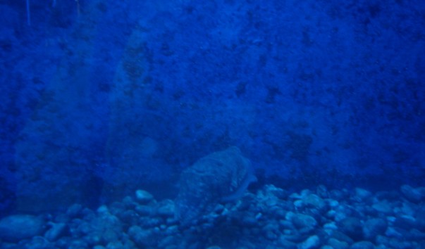 DSC04555