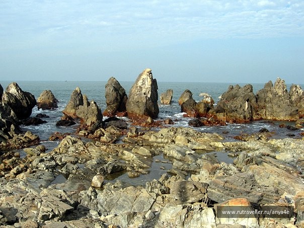 photo 483590