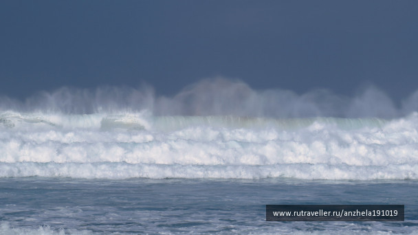 photo 1188516