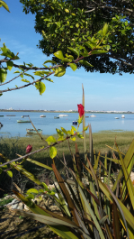 photo 1215654