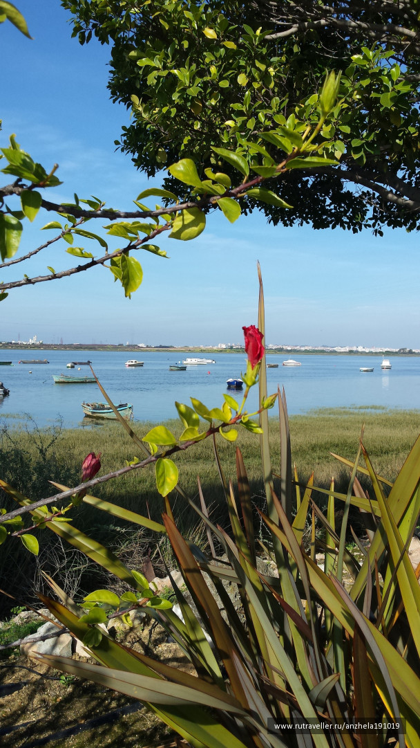 photo 1215654