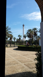 photo 1215663