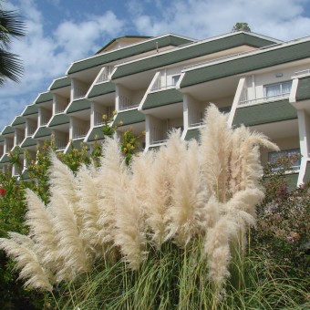 Queen's Park Resort 5*