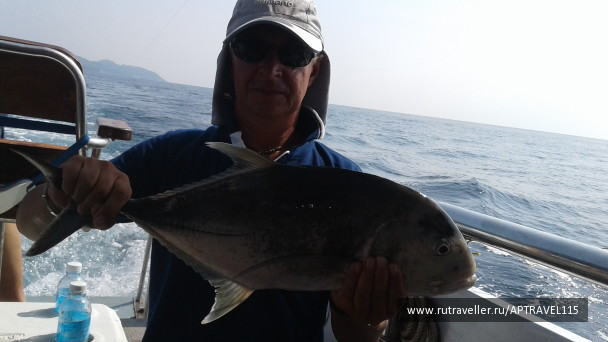 photo 1284607
