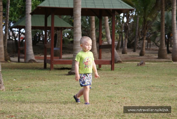 photo 888345