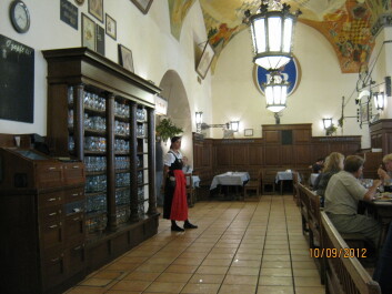 photo 213123