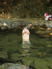 photo 426069