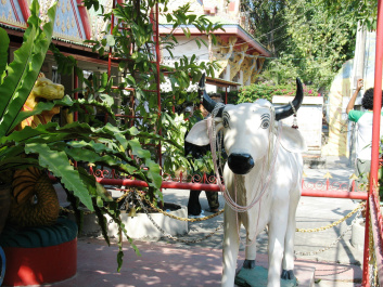 photo 426276