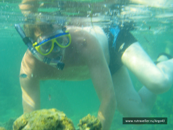 photo 431338