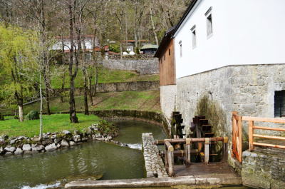 photo 432992