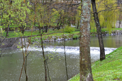 photo 433017