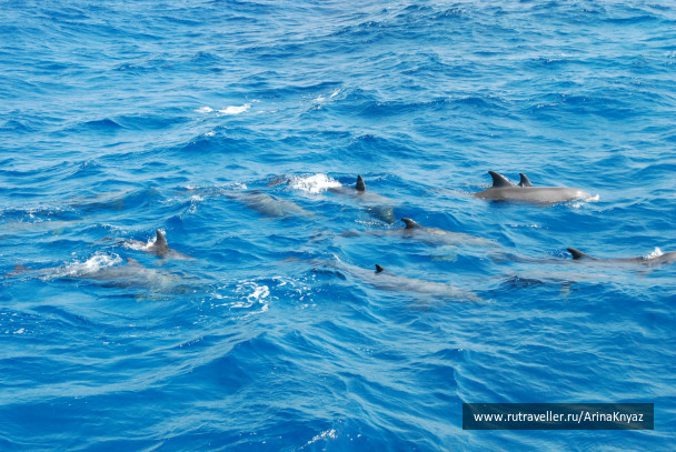 photo 339347