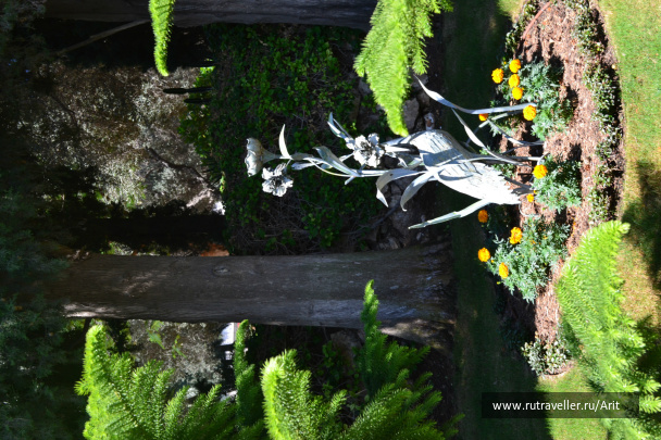photo 556322