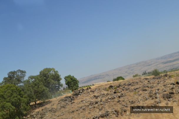 photo 556416