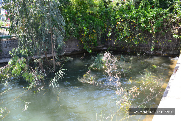 photo 556426