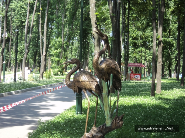 photo 763177