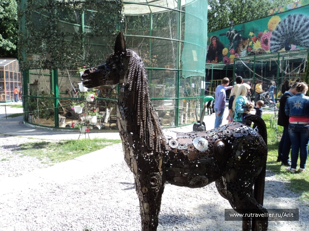 photo 781394