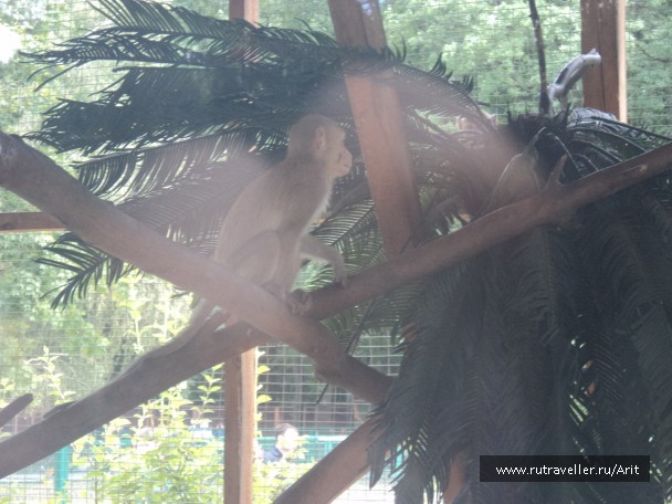 photo 781397