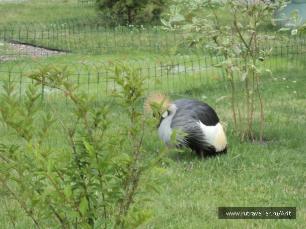 photo 781404
