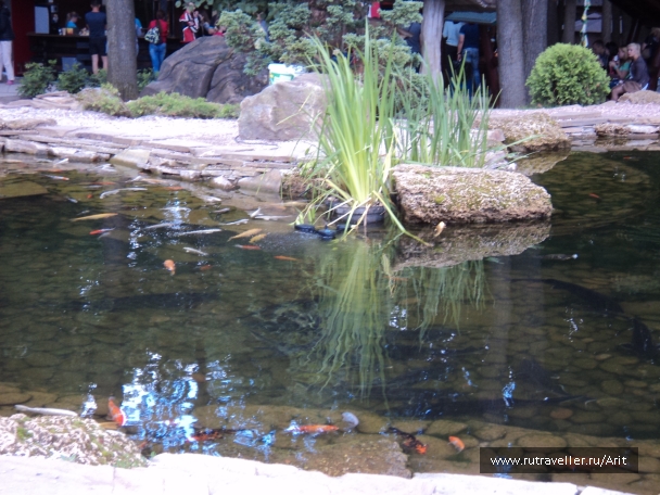 photo 781411