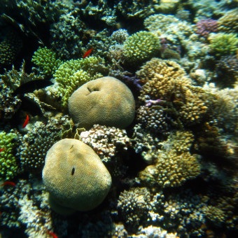 Egipt, Blue Hole
