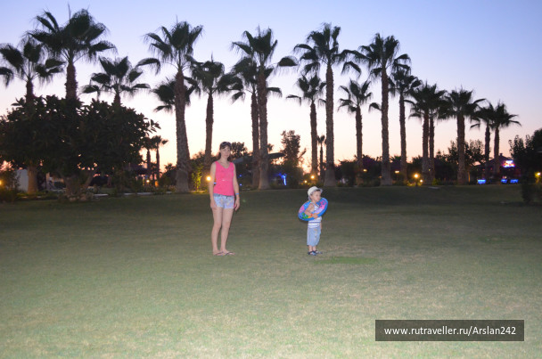 photo 456934