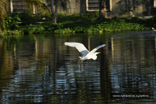 photo 96932