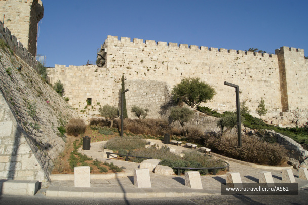 photo 147621