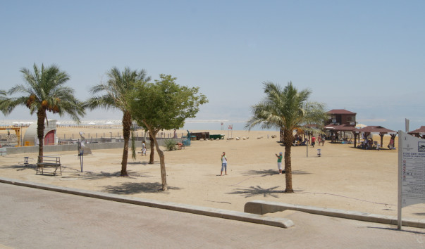 DSC04878