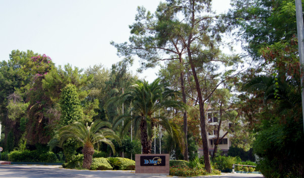 DSC04591