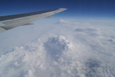 photo 479289