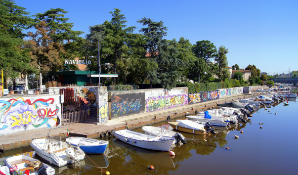 DSC00656