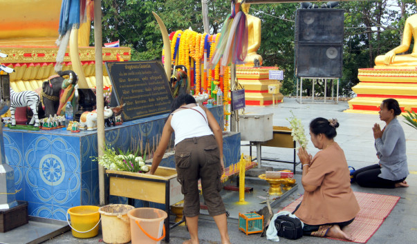 DSC05219