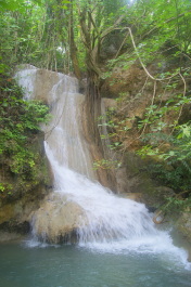 photo 582001