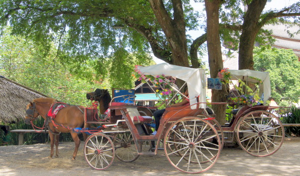 DSC05655