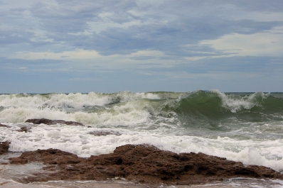 photo 830016